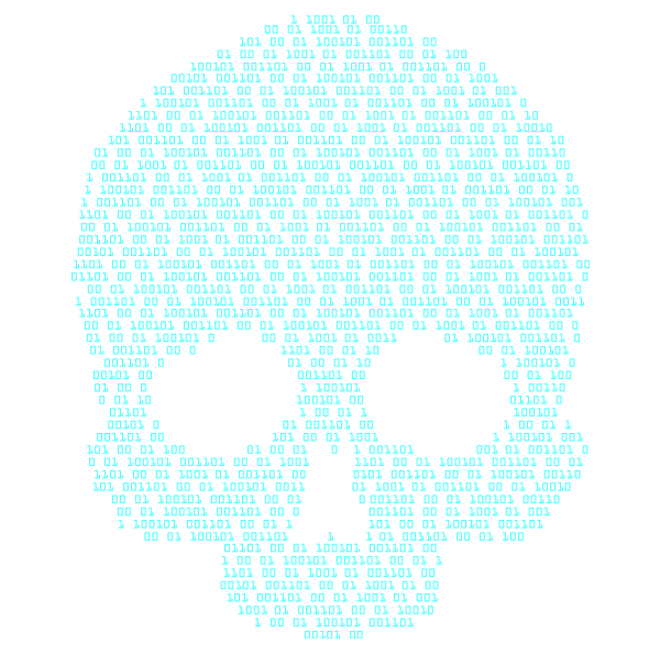 Skull in binary